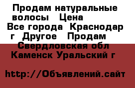 Продам натуральные волосы › Цена ­ 3 000 - Все города, Краснодар г. Другое » Продам   . Свердловская обл.,Каменск-Уральский г.